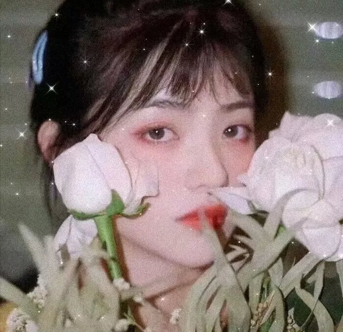 玛莎·米切尔效应
